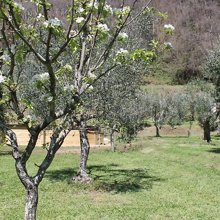 Shaleo Holiday Home Marliana Buitenkant foto