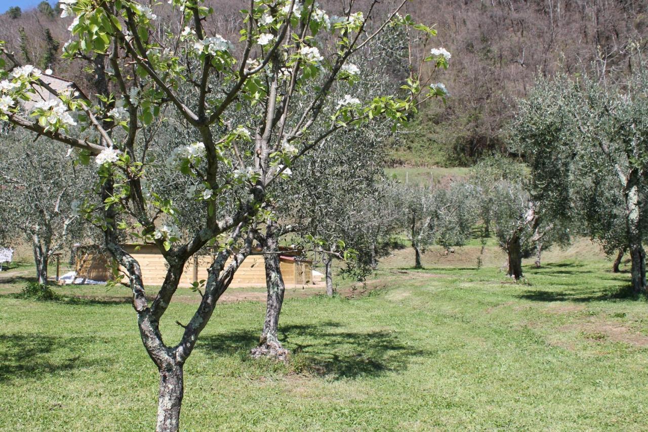 Shaleo Holiday Home Marliana Buitenkant foto