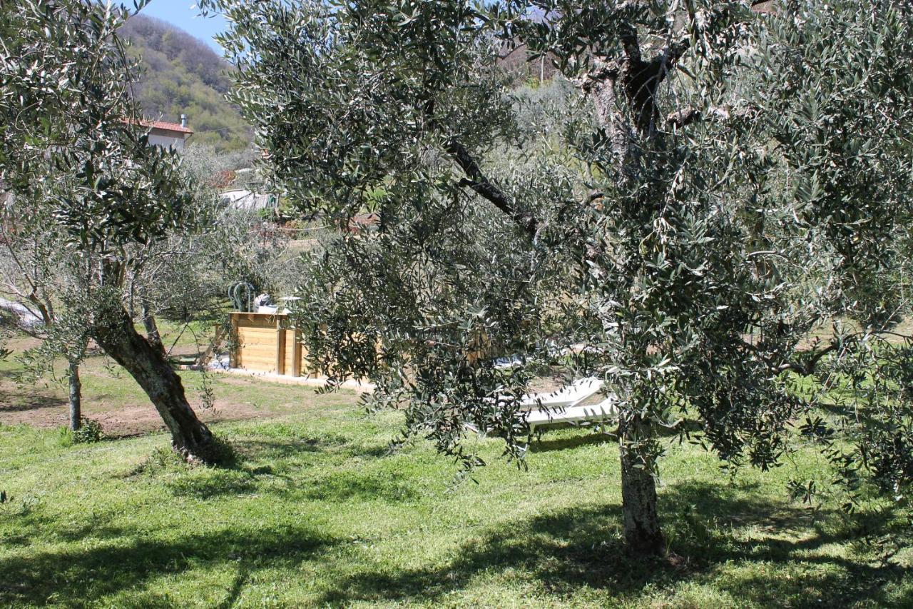 Shaleo Holiday Home Marliana Buitenkant foto